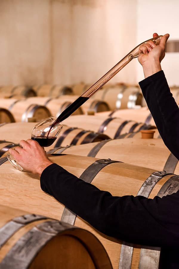 Vin Medoc et Haut Medoc - Cave Saint Brice - main 2