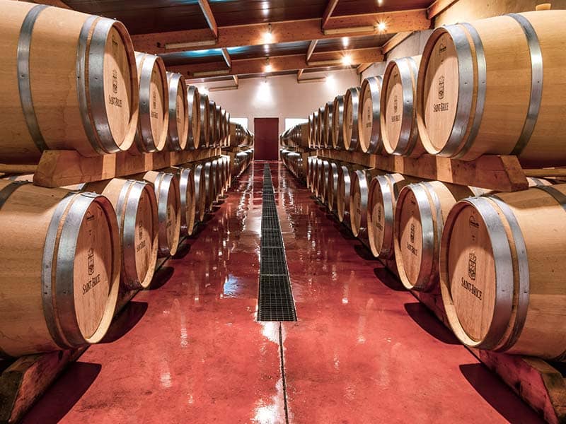 restaurateur restaurant negociant achat vin du medoc bordeaux medoc haut medoc cave medoc - Cave Saint Brice - 02