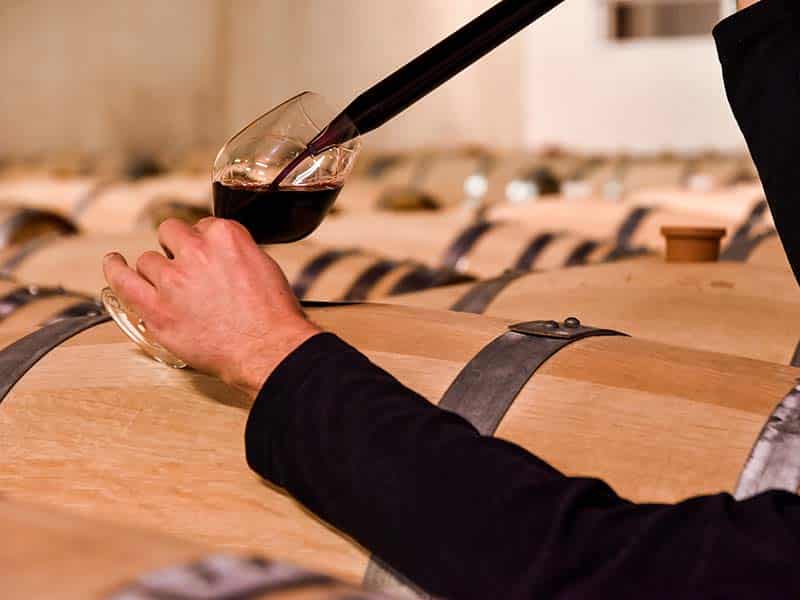 restaurateur restaurant negociant achat vin du medoc bordeaux medoc haut medoc cave medoc - Cave Saint Brice - 03